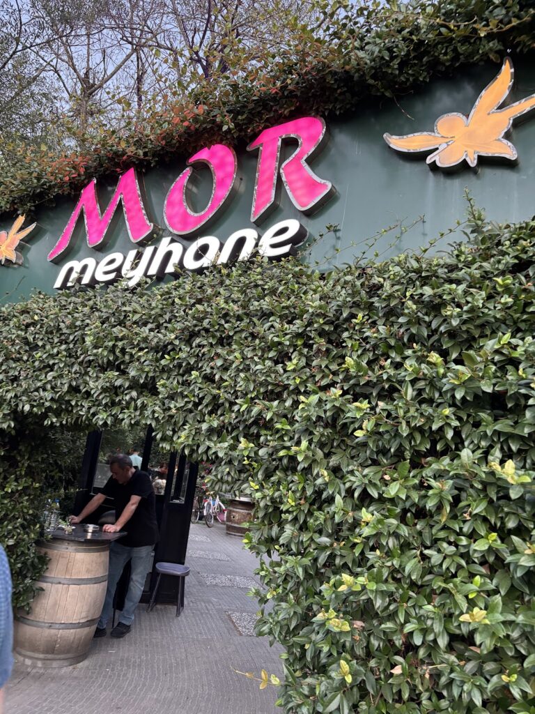 Mor Meyhane - Küçükbakkalköy, Ahmet Yesevi Cd 6/A, 34750 Ataşehir/İstanbul, Türkiye